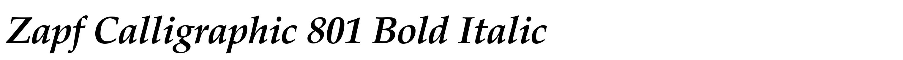 Zapf Calligraphic 801 Bold Italic